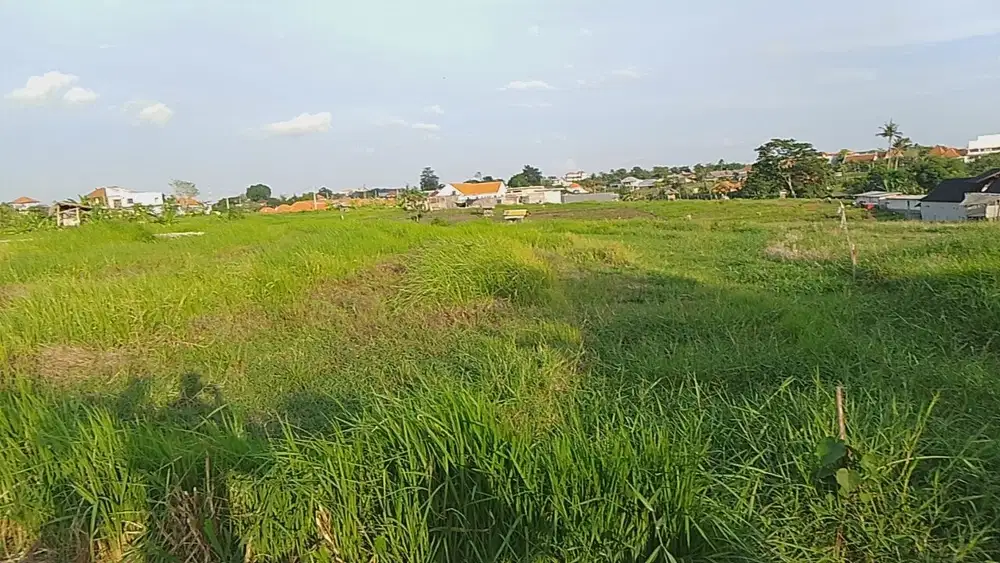 HOT LISTING, DIJUAL TANAH LINGKUNGAN VILLA LOKASI BERAWA