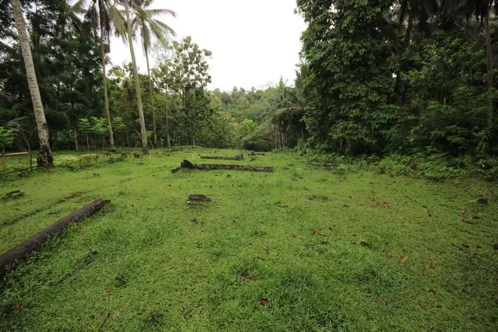DIJUAL TANAH KEBUN COCOK UNTUK PERUMAHAN
