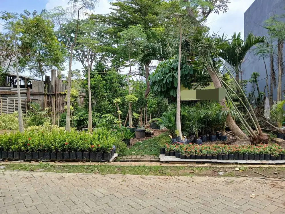 Tanah Kavling 288m Karang Tengah Banjir Hadap Timur Under Value