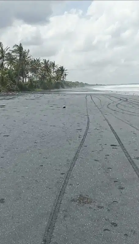 DIJUAL TANAH DI PANTAI PASUT KERAMBITAN  TABANAN BALI
