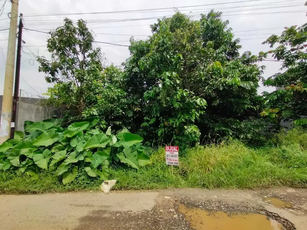 Dijual Cepat Tanah Ciater, Serpong Tangerang Selatan