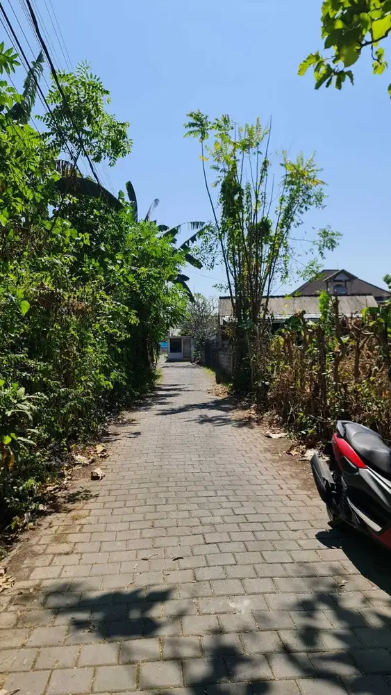 Tanah disewakan di Sanur