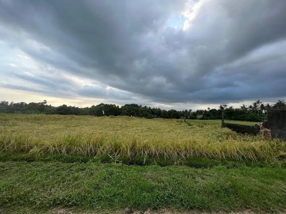 Dijual tanah dekat pantai Klecung Tabanan