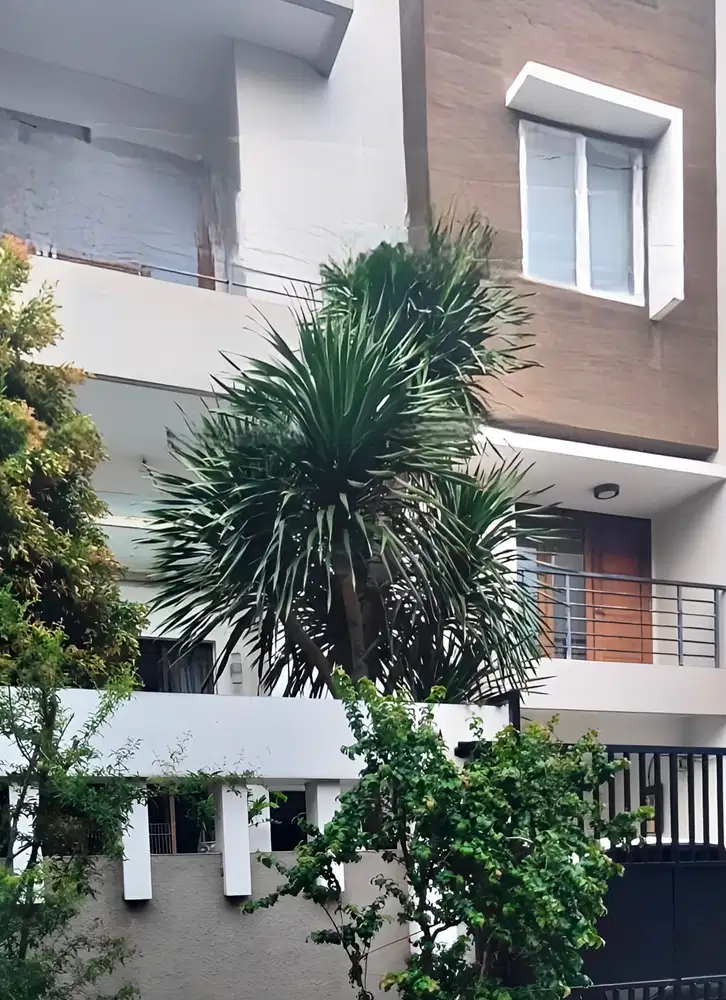 Rumah Sunter Bagus Minimalis Dijual Cepat