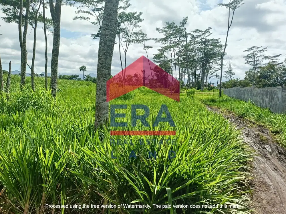 Dijual Tanah di Jalan Ibnu Sina Malang