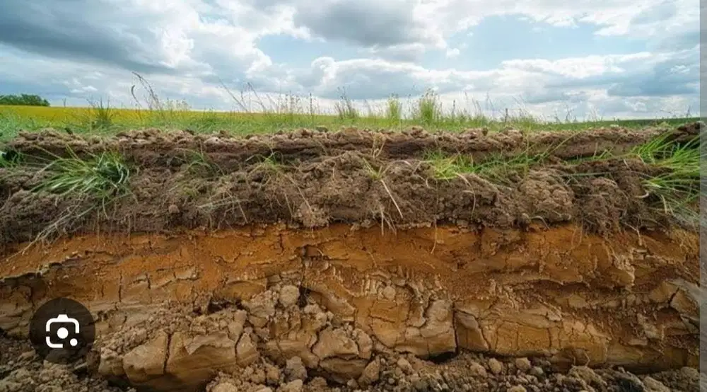 TANAH LANGKA DI SOEKARNO HATTA MALANG