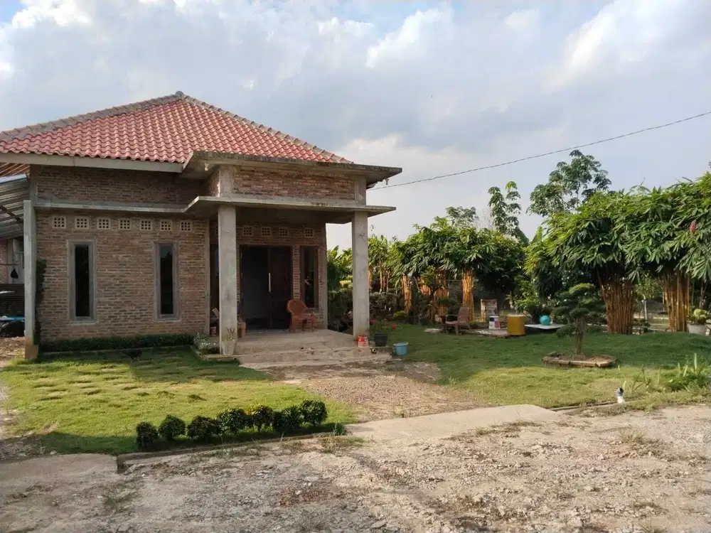 DIJUAL TANAH LUAS + RUMAH TANAH MAS SUKAMORO BANYUASIN