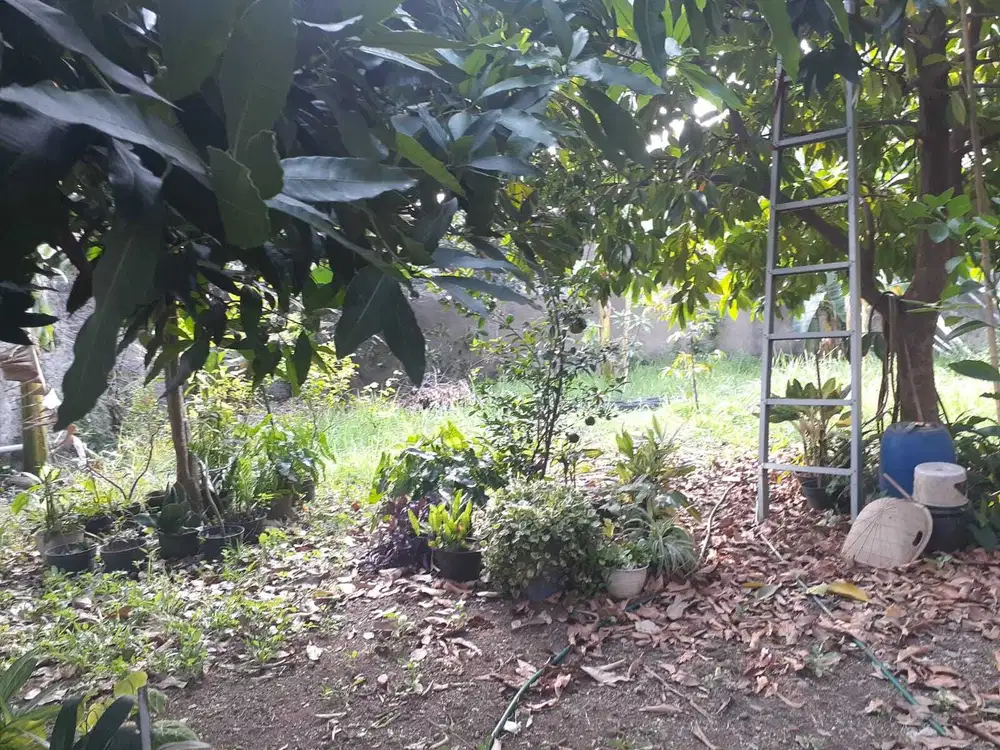 Dijual Cepat Kavling 300m2 di PJMI dekat Kampus STAN Bintaro