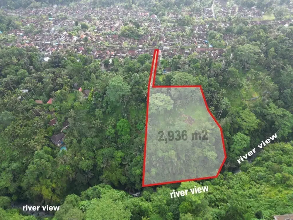 Tanah Tebing Dengan Panorama Hutan Dan Sungai di Ubud Bali