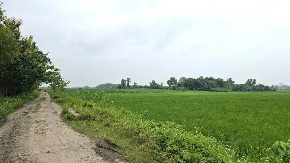 DIJUAL TANAH KAWASAN INDUSTRI DI JAWILAN SERANG LOKASI JALANRAYA UTAMA