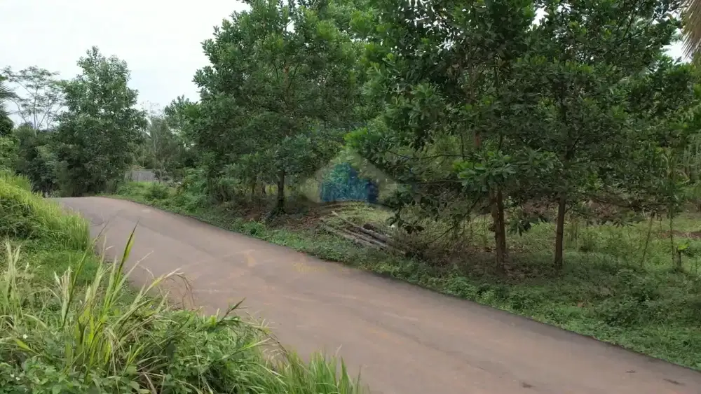 Dijual Tanah di GN Anten, Cimarga, Lebak - Banten.