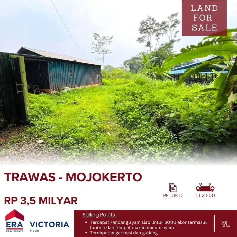 Tanah Kandang Ayam di Mojokerto