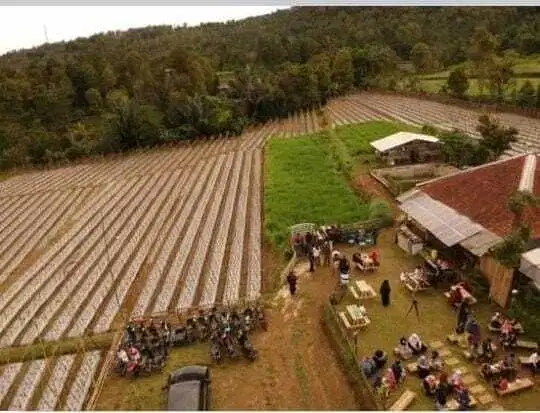 Dijual Cepat Tanah perkebunan aktif di Wanayasa, Purwakarta, JaBar