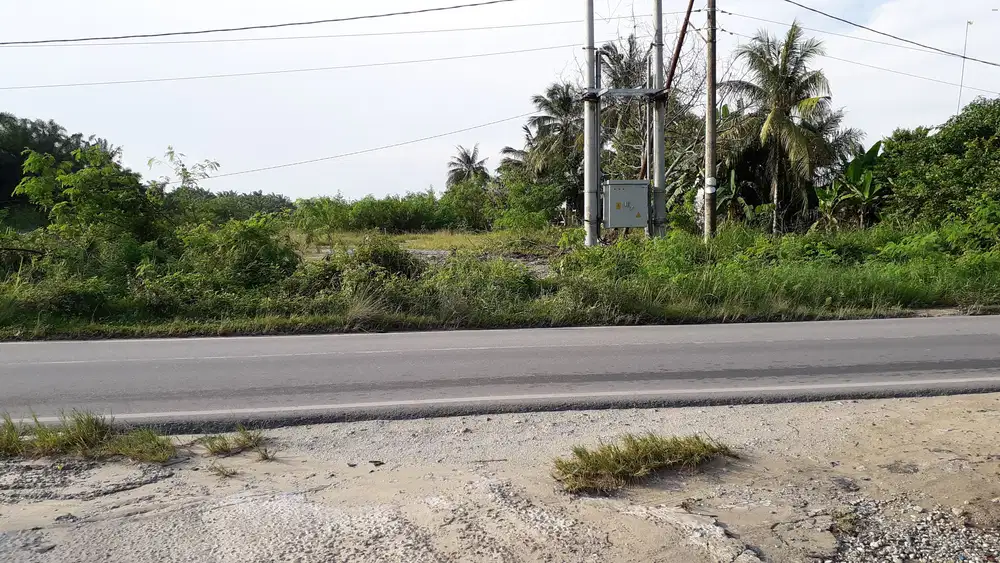 Tanah di sewakan di Pekanbaru jl Lintas timur kulim