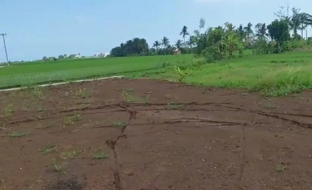 DIJUAL TANAH DEKAT PANTAI KEDUNGU TABANAN