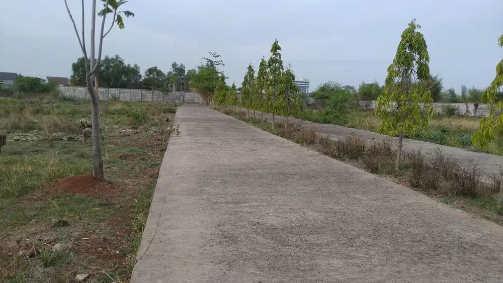 Tanah di pinggiran kota Cirebon bagus strategis