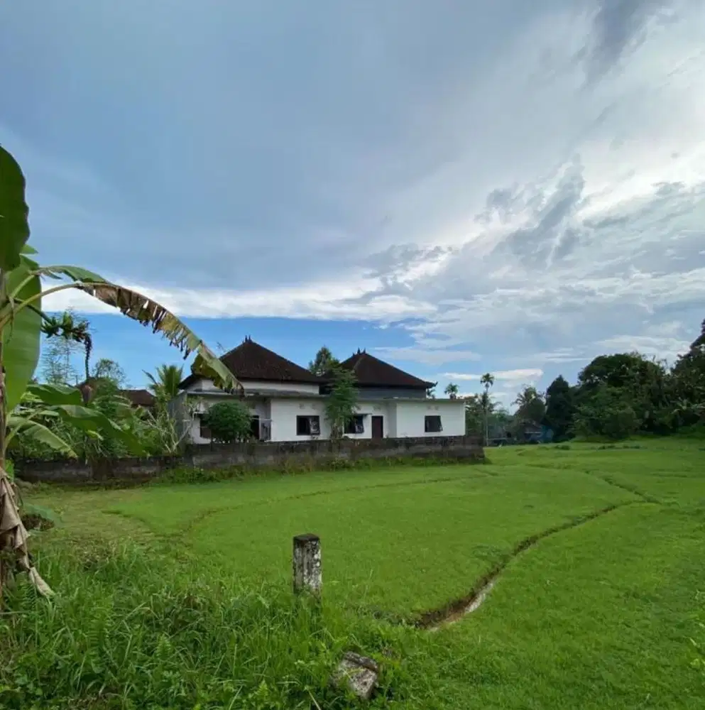JUAL TANAH DI TABANAN MEGATI TANAH UNTUK VILLA ,UNTUK GUDANG