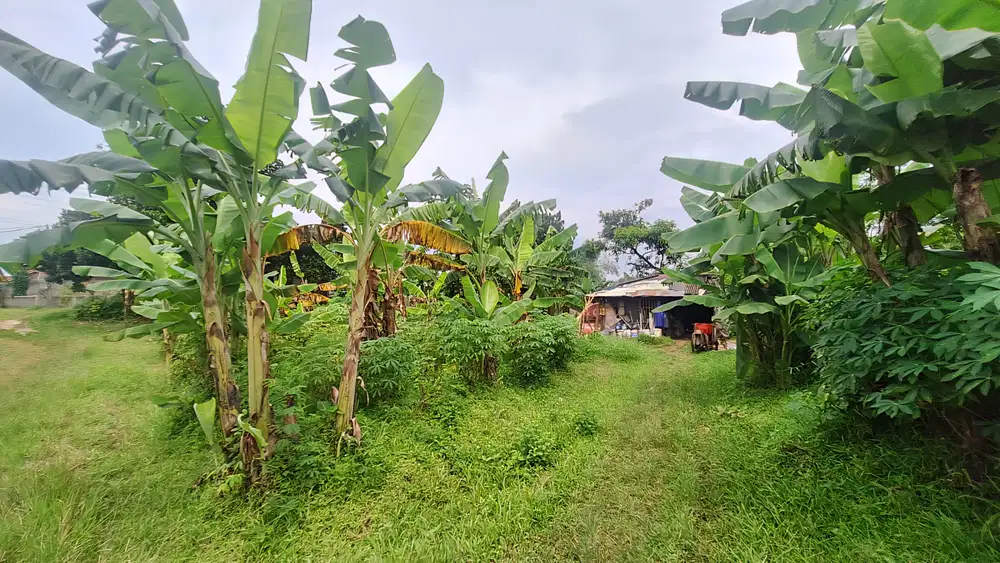 DIJUAL TANAH BOGOR DI CITAYAM PERUMAHAN BOJONG LESTARI
