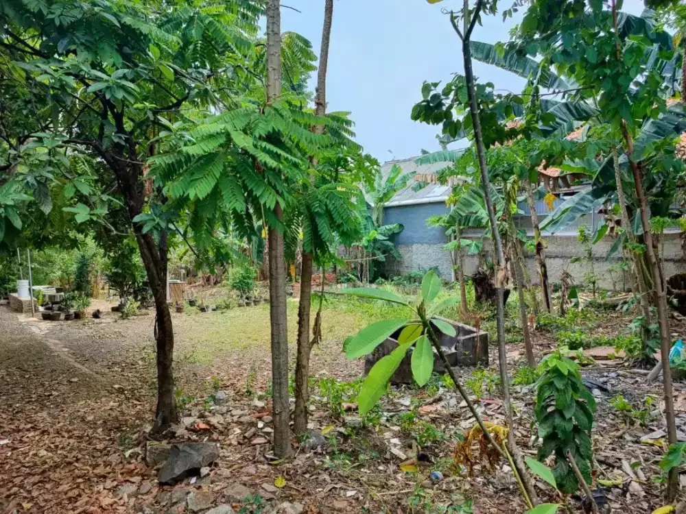 Jual tanah Jl Mawar, Depok, Deket cafe Louise Depok