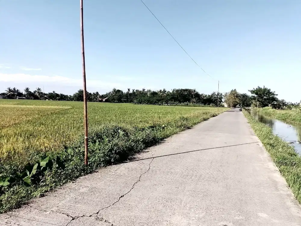 Dijual Murah Lahan Kosong 5Ha Siap Bangun SHM Sepatan Tangerang Banten