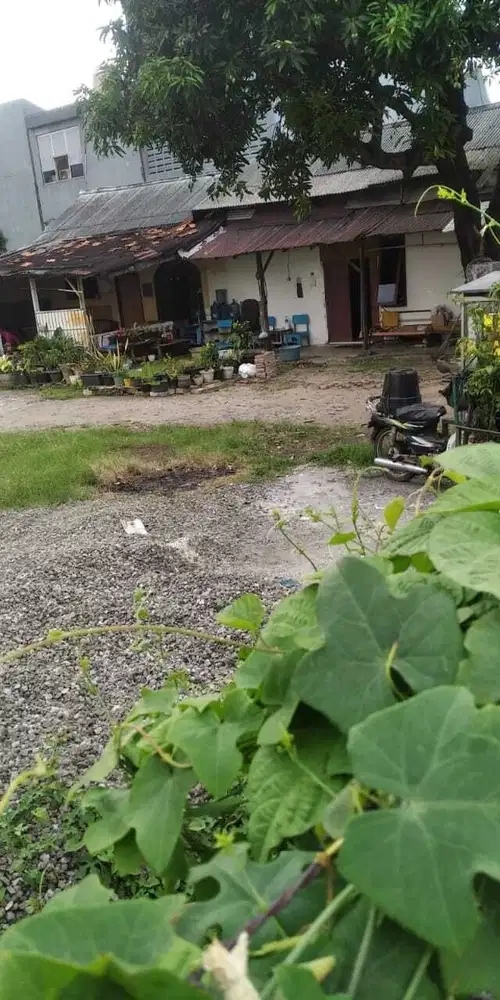 Tanah dijual atau disewakan di Pancoran, Jaksel
