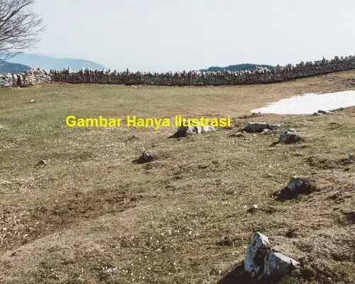 Dijual Tanah Kosong Sunter Agung, Jakarta Utara