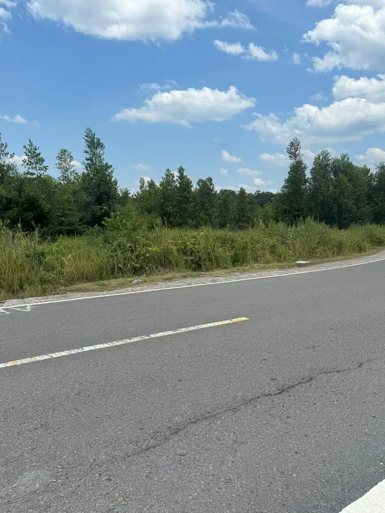 Dijual tanah perkebunan di Jl. lintas Palangkaraya Kalimantan Tengah