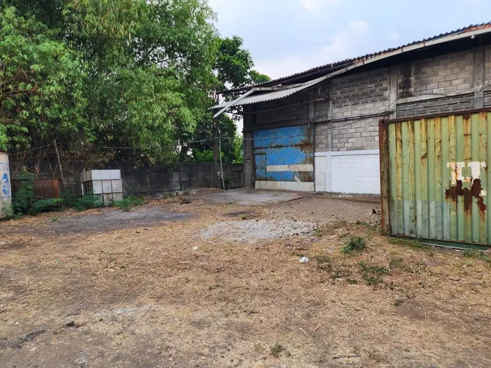 Gunung gangsir desa jejeran beji pasuruan