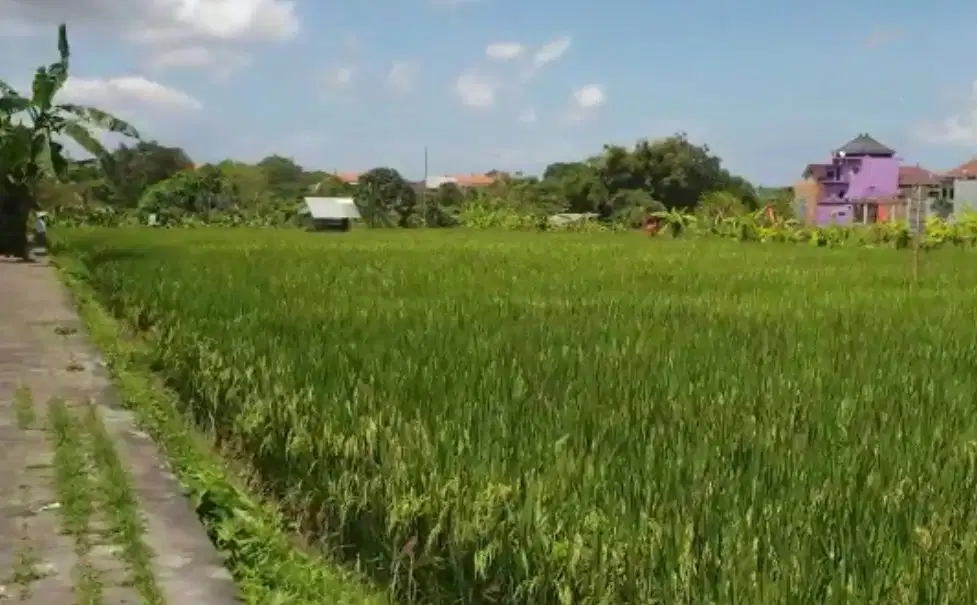 DIJUAL TANAH ZONA PERUMAHAN LOKASI KEROBOKAN