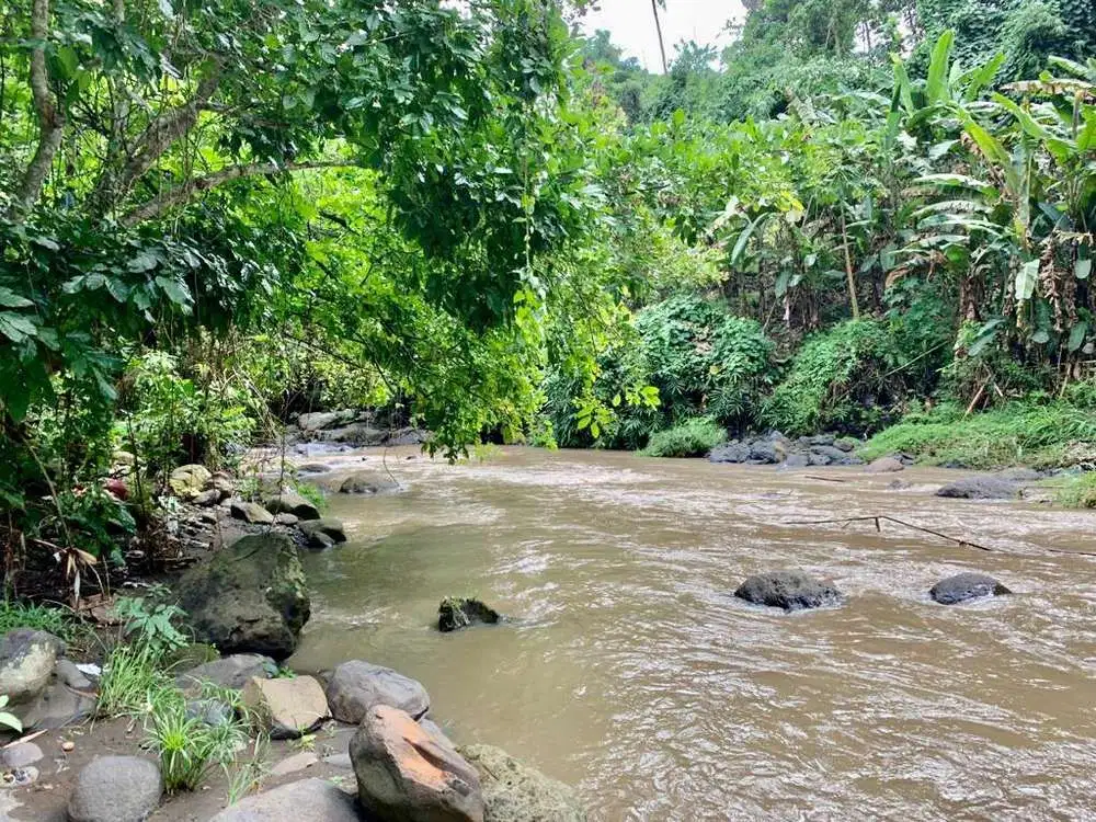 DIJUAL TANAH LUAS LOS SUNGAI DI BUWIT TABANAN