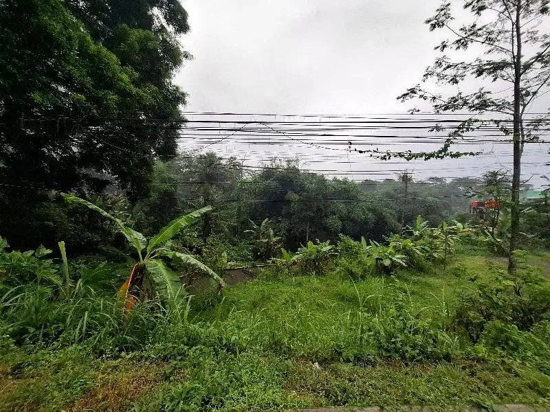 Tanah Jalan Raya Boyolali Salatiga