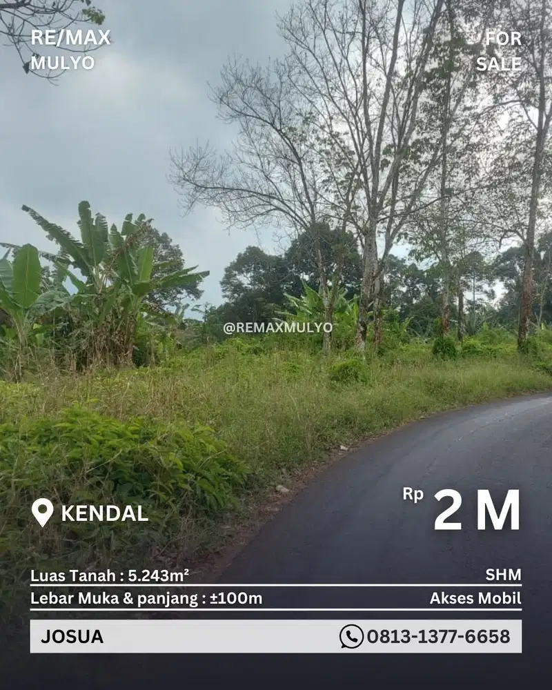 Tanah Hook Dijual Area kendal Dengan Luas 5.243m2
