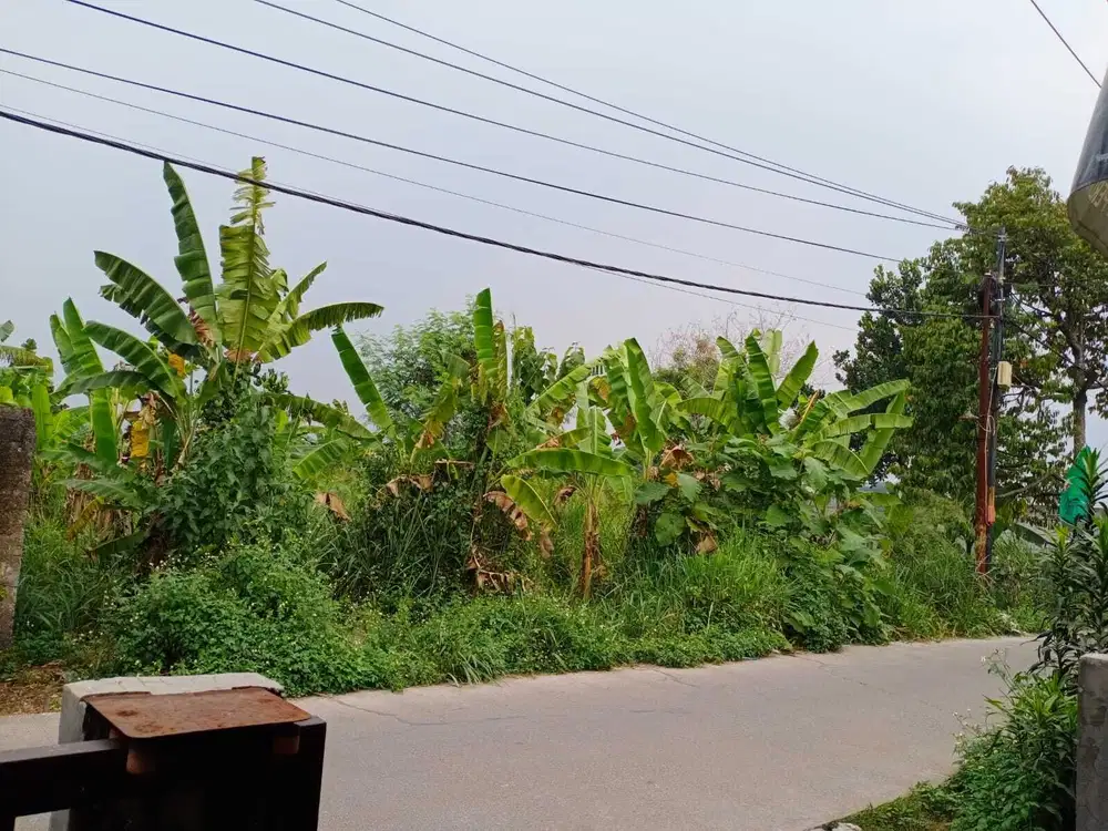 Tanah 2900m  cocok unt cluster rumah tinggi di Ciherang cutek, Ciomas