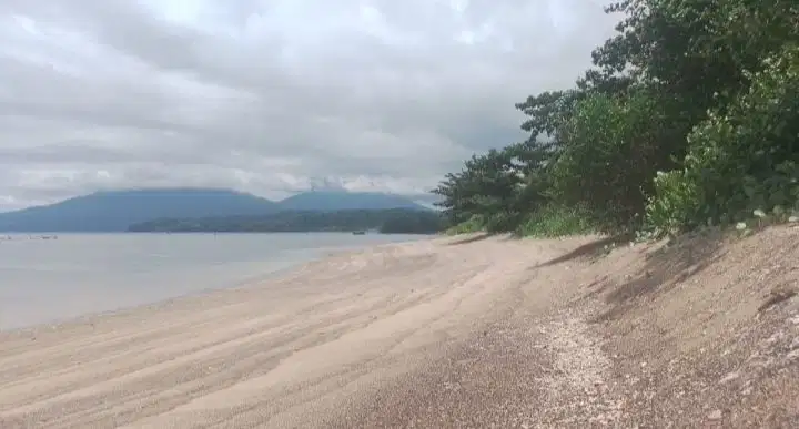 Dijual tanah dipinggir pantai pasir putih dekat KEK Pariwisata Likupan