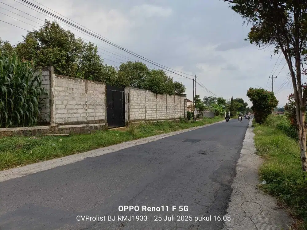 Dijual Kebun Durian Usia 4 Tahun  1 menit ke RM Joglo Banaran Sumbang