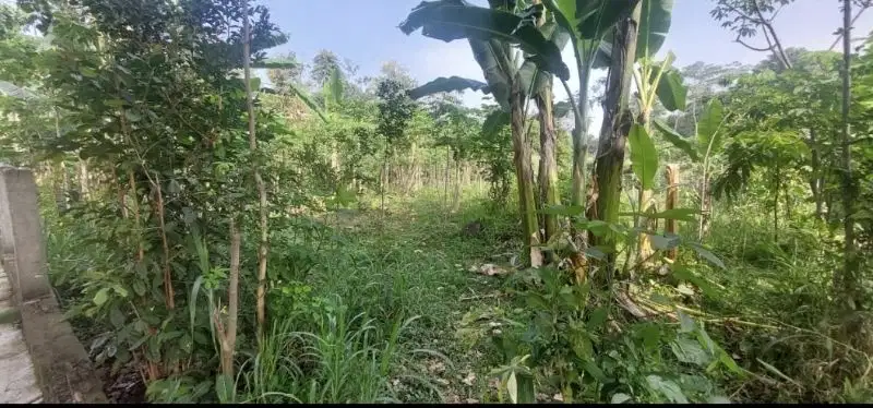 Tanah Zona industri Boyolali bisa untuk agudang dan produksi umkm