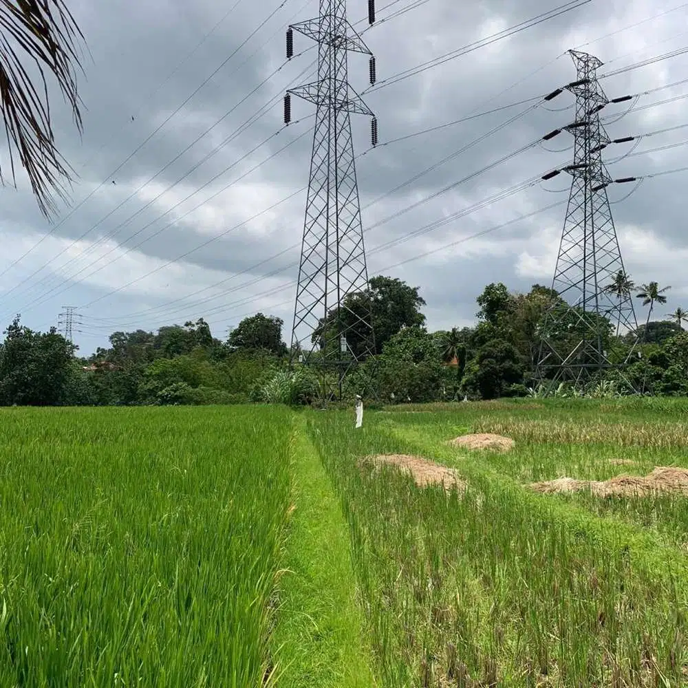 TANAH VIEW SAWAH DAN SUNGAI DI TABANAN