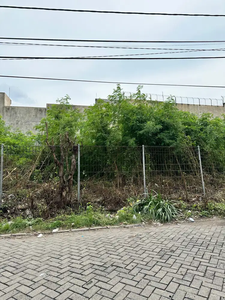 Jual termurah jarang ada tanah kavling tenggilis mejoyo