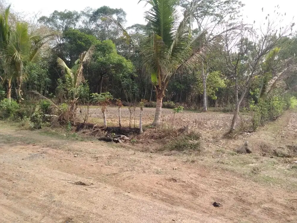 TANAH MARGASARI TIGARAKSA DIJUAL CEPAT BU BANGET