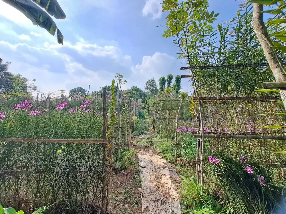 Tanah di Pamulang lokasi pinggir jalan dan strategis