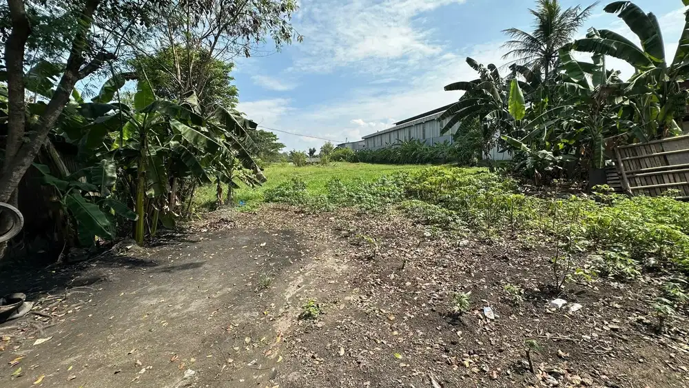 Dijual tanah darat di balajara cisoka tangerang