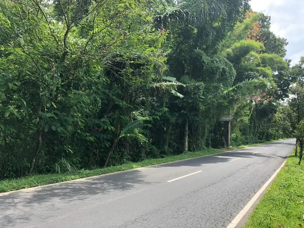 DIJUAL TANAH MURAH DI UBUD GIANYAR