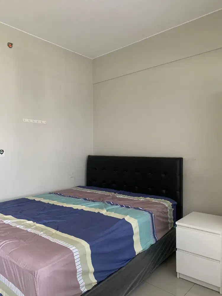 disewa apartment studio springlake Summarecon Bekasi
