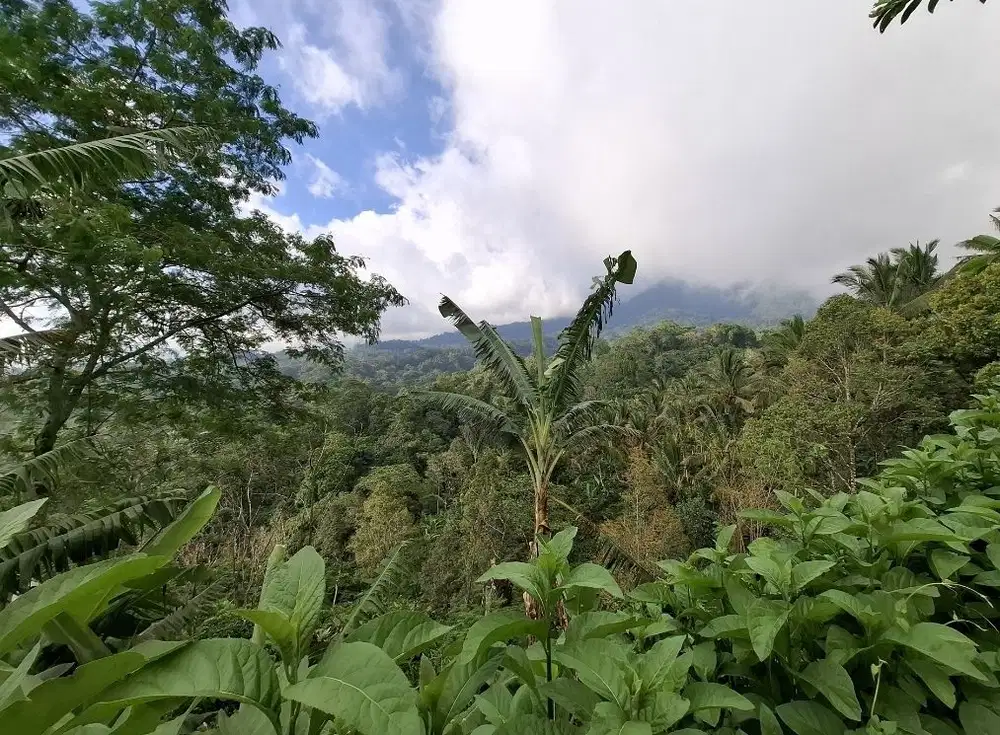 Dijual tanah view gunung,lembah,sunset dan los sungai zona pink