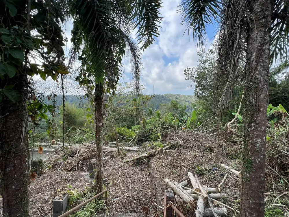 Dijual Tanah Los Sungai Bonus Eks Kompleks Villa