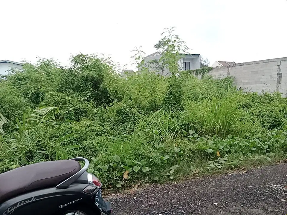 MURAAAH! TANAH MEDOKAN SAWAH TIMUR RUNGKUT SIAP BANTU