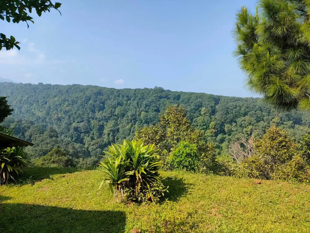 Jual Tanah 2,2ha View Gunung dan Kota di Pancawati Bogor