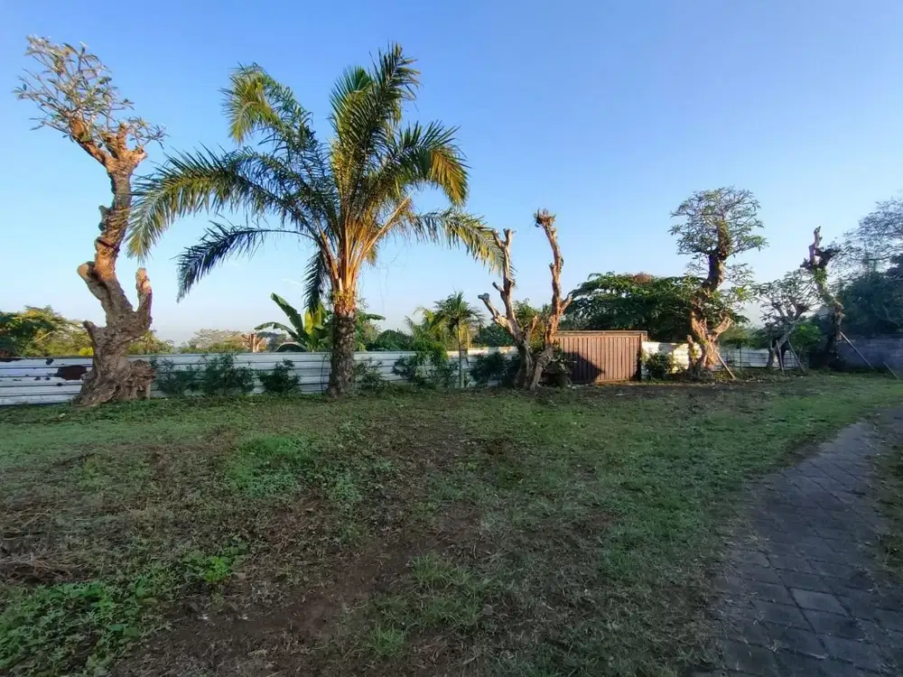 TANAH LOS SUNGAI JUNGLE VIEW DEKAT GREEN SCHOOL ARAH UBUD BALI