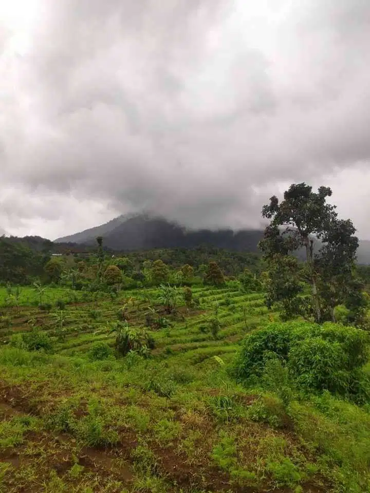 DIJUAL TANAH COCOK UNTUK INVESTASI DI BULELENG