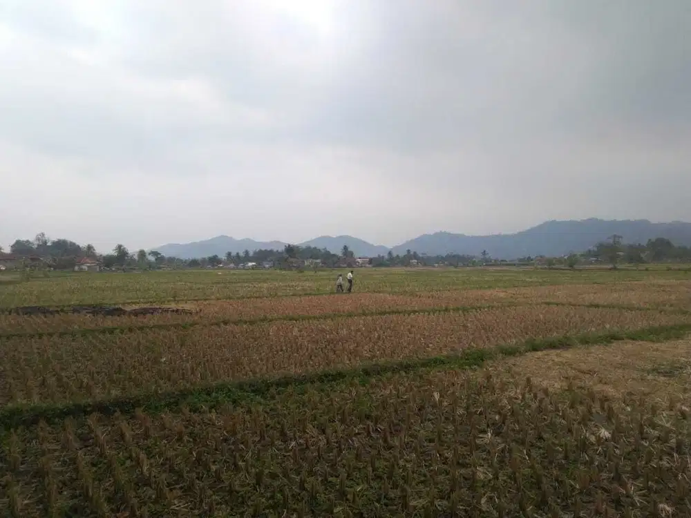 Dijual Lahan Bisa Untuk Industri Mainroad Cipeuyeum Ciranjang Cianjur